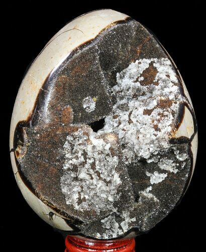 Septarian Dragon Egg Geode - Black Crystals #57422